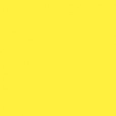 Фон пластиковый FST 60x130 см желтый матовый (Фотофон)