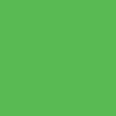 Фон Colorama Colormatt LL CO7100 100 x 130 см (зеленый)