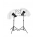 Комплект импульсного света FST E-250 Umbrella KIT
