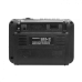 Радиоприёмник Ritmix RPR-171