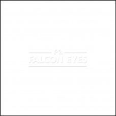 Фон бумажный Falcon Eyes Colortone 2.75x11m Super White BDSV-2.75 №01