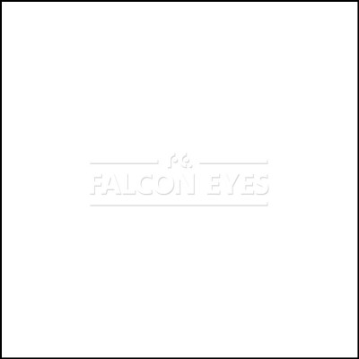 Фон бумажный Falcon Eyes Colortone 2.75x11m Super White BDSV-2.75 №01
