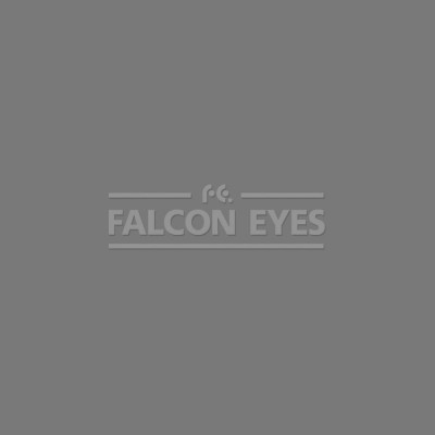 Фон бумажный Falcon Eyes Colortone 2.75x11m Charcoal BDSV-2.75 №27