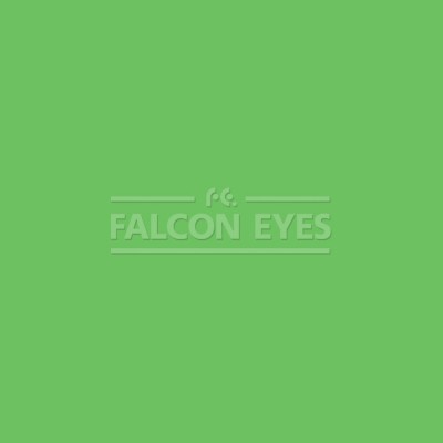 Фон бумажный Falcon Eyes Colortone 2.75x11m Tech Green BDSV-2.75 №46