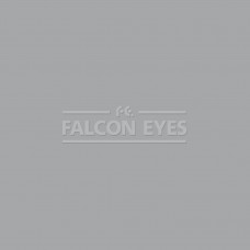Фон бумажный Falcon Eyes Colortone 2.75x11m TV Gray BDSV-2.75 №61