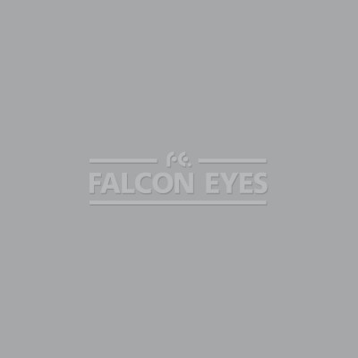 Фон бумажный Falcon Eyes Colortone 2.75x11m TV Gray BDSV-2.75 №61