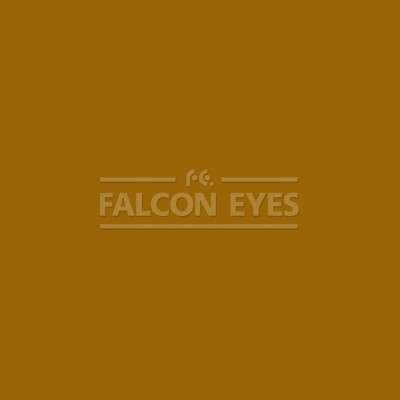 Фон бумажный Falcon Eyes Colortone 2.75x11m Cocoa BDSV-2.75 №80