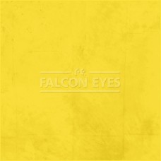Фон тканевый Falcon Eyes BCP-13 BC-2970, 2,9 х 7 м