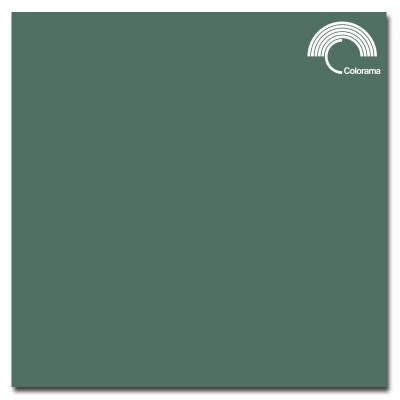 Фон бумажный Colorama Spruce Green 37, 2.72x11 м