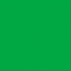 Фон нетканый Superior, 1,6 x 2,1 м (Зеленый)