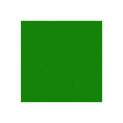Фон бумажный Polaroid Dark Green Зеленый 2.72x11 м