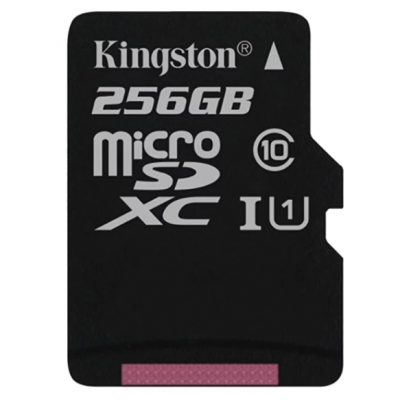 Карта памяти 256GB Kingston Canvas Select Class 10 UHS-I (SDCS/256GBSP)
