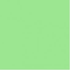 Фон бумажный FST Spring Green 2.72x11m