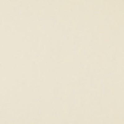 Бумажный фон FST 2.72 x 11m Cream цвет шампанского