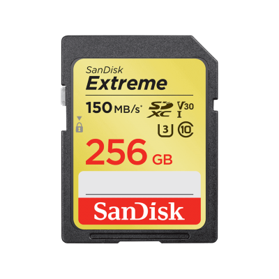 Карта памяти SD 256GB SanDisk Class 10 Extreme V30 UHS-I U3 (SDSDXV5-256G-GNCIN)