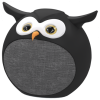 Портативная колонка Ritmix ST-110BT Owl черная