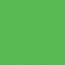Фон хромакей пластиковый FST матовый зеленый 60x130 см