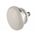 Светодиодная лампа FST L-E27-LED30 (30 Вт)