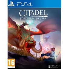 Игра Citadel: Forget With Fire [PS4, английская версия]