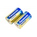 Элемент питания Panasonic Evolta D LR20EGE/2BP