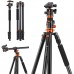 Штатив K&F Concept T254A7 с головой BH-28L