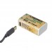 Аккумулятор GreenBean WoodCell 6F22 зарядка USB-C (набор 2 шт.)