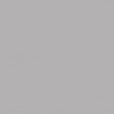 Фон бумажный Falcon Eyes BackDrop PRO 2.72x11 Pursuit Grey (21)