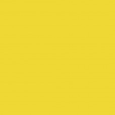 Фон бумажный Falcon Eyes BackDrop PRO 2.72x11 Forsythia Yellow (14)